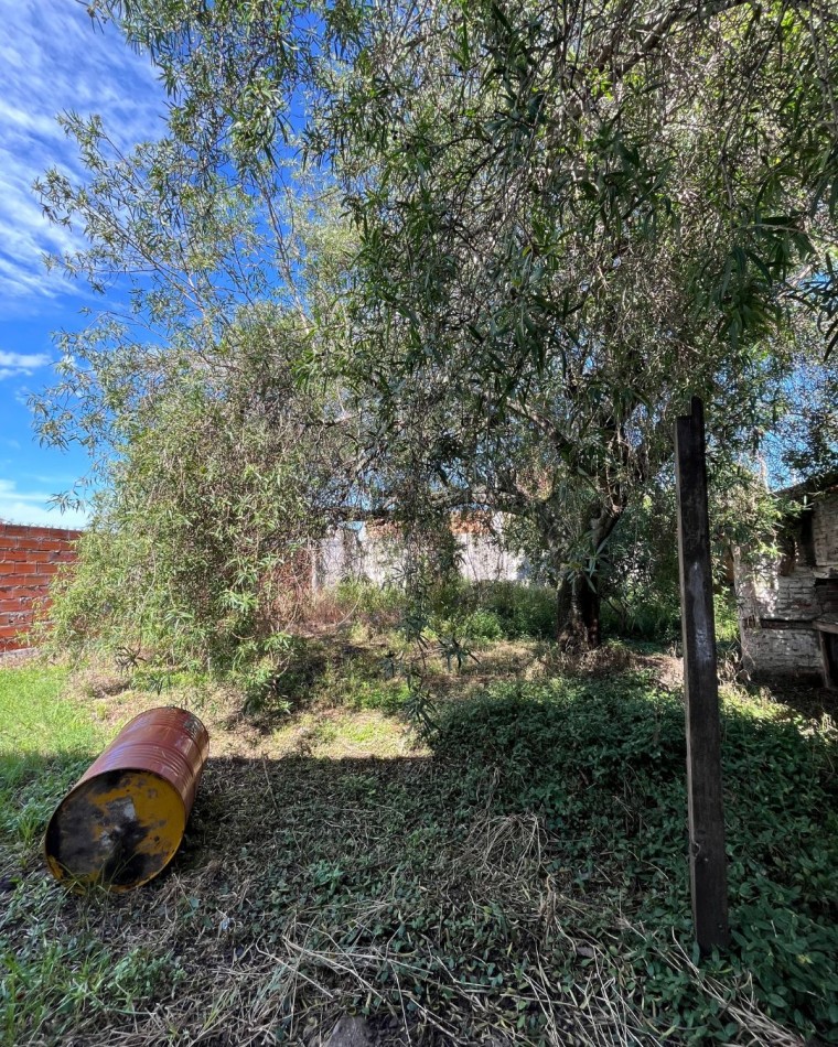 Casa a reciclar con amplio terreno