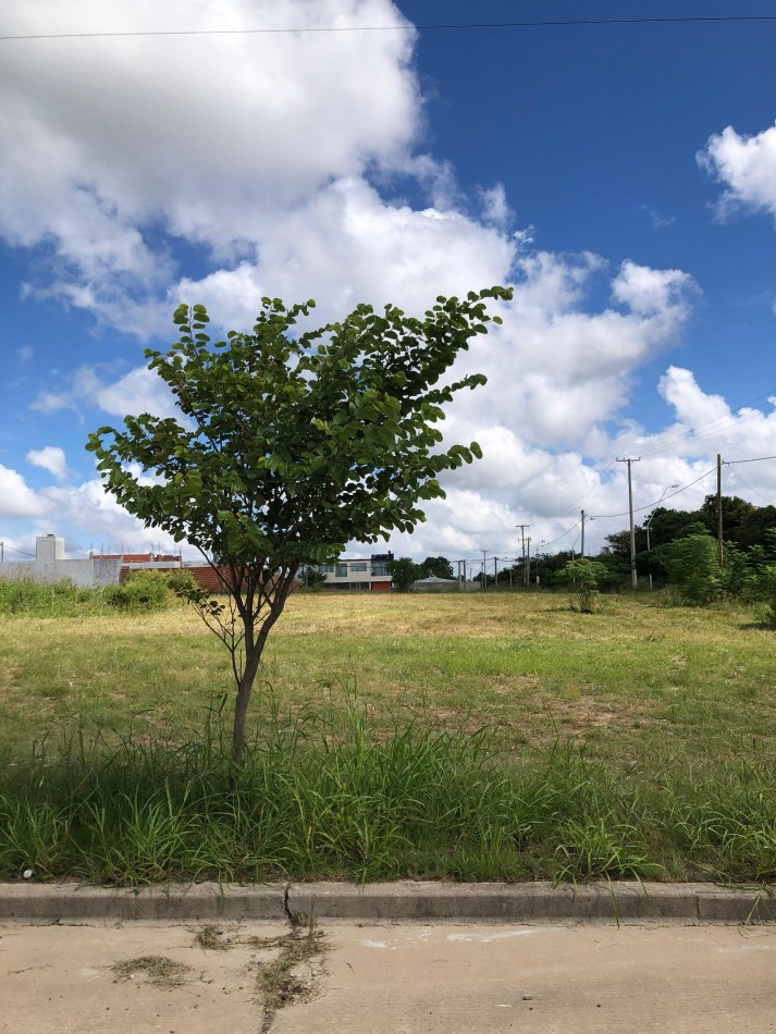 Terrenos de 300 m2 en Loteo Altos del Paracao 2