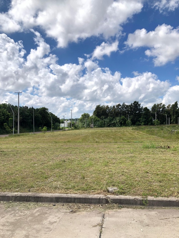 Terrenos de 300 m2 en Loteo Altos del Paracao 2