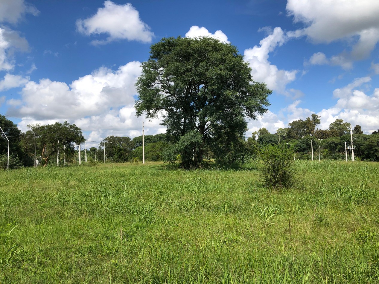 Terrenos de 300 m2 en Loteo Los Lapachos 3