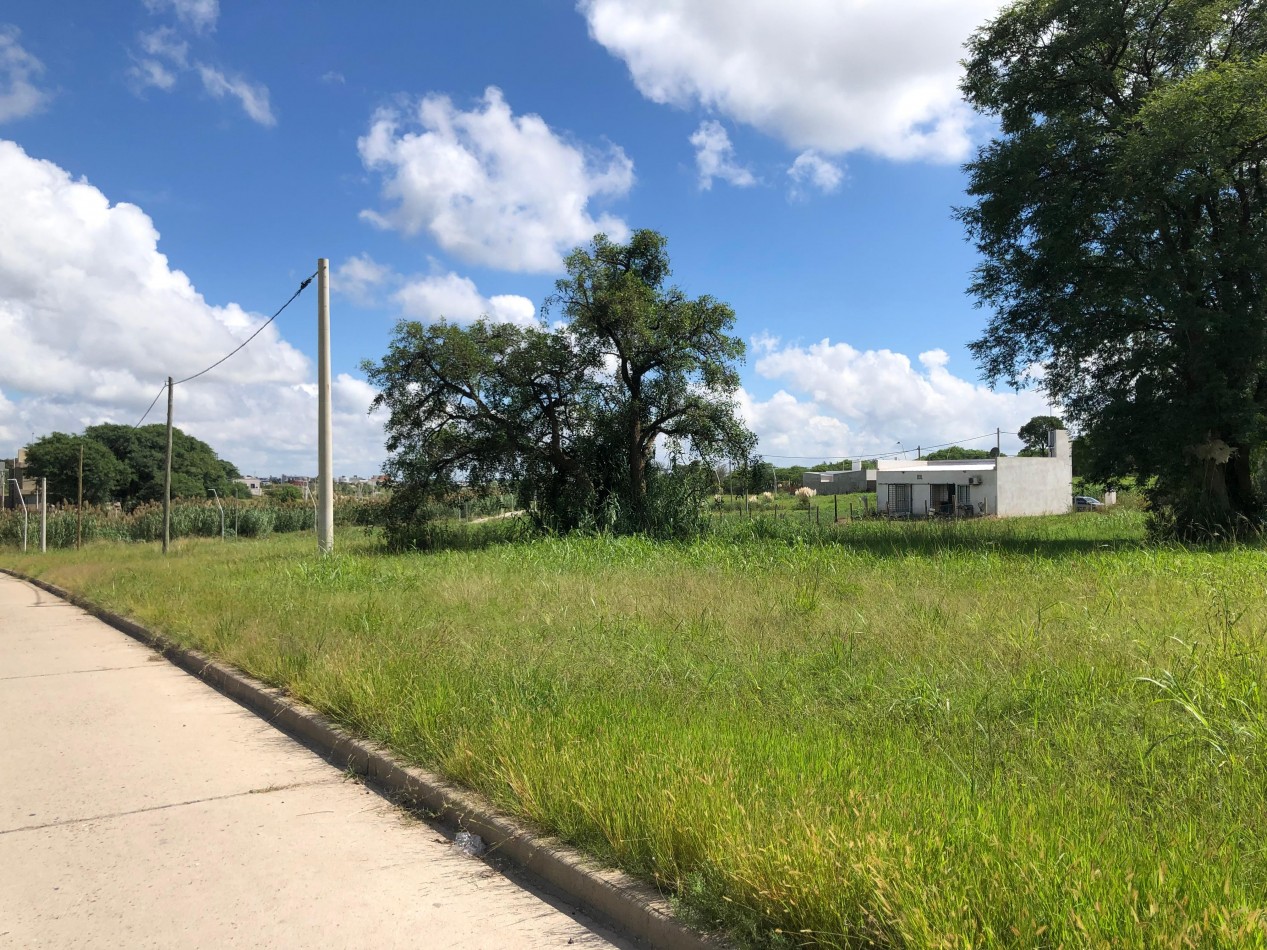 Terrenos de 300 m2 en Loteo Los Lapachos 3