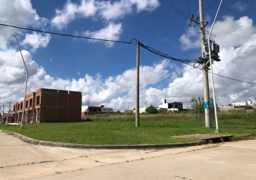Terrenos de 300 m2 en Loteo Altos del Paracao 1