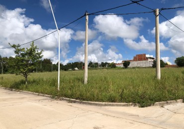 Terrenos de 300 m2 en Loteo Altos del Paracao 3