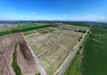 Terrenos en Loteo Las Colinas